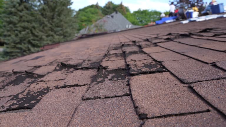 Best Rubber Roofing (EPDM, TPO)  in Loomis, CA
